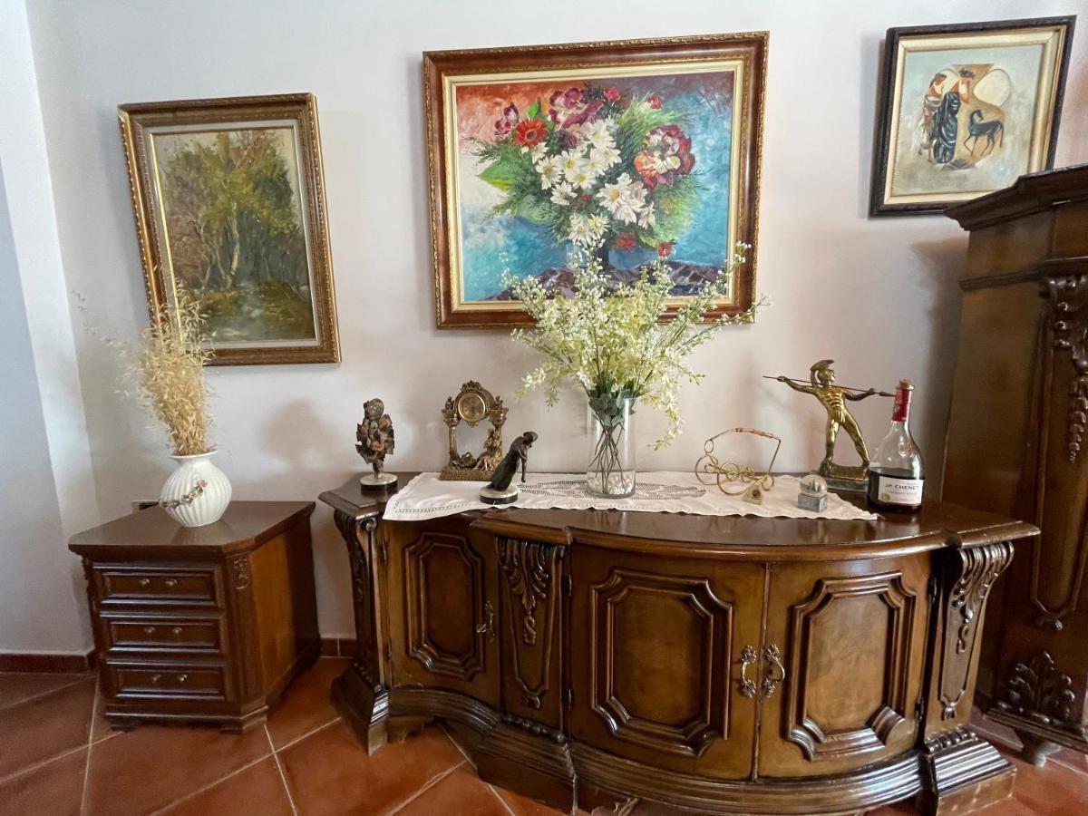 Venus - Cozy Apt With Terrace Vlorë Eksteriør bilde