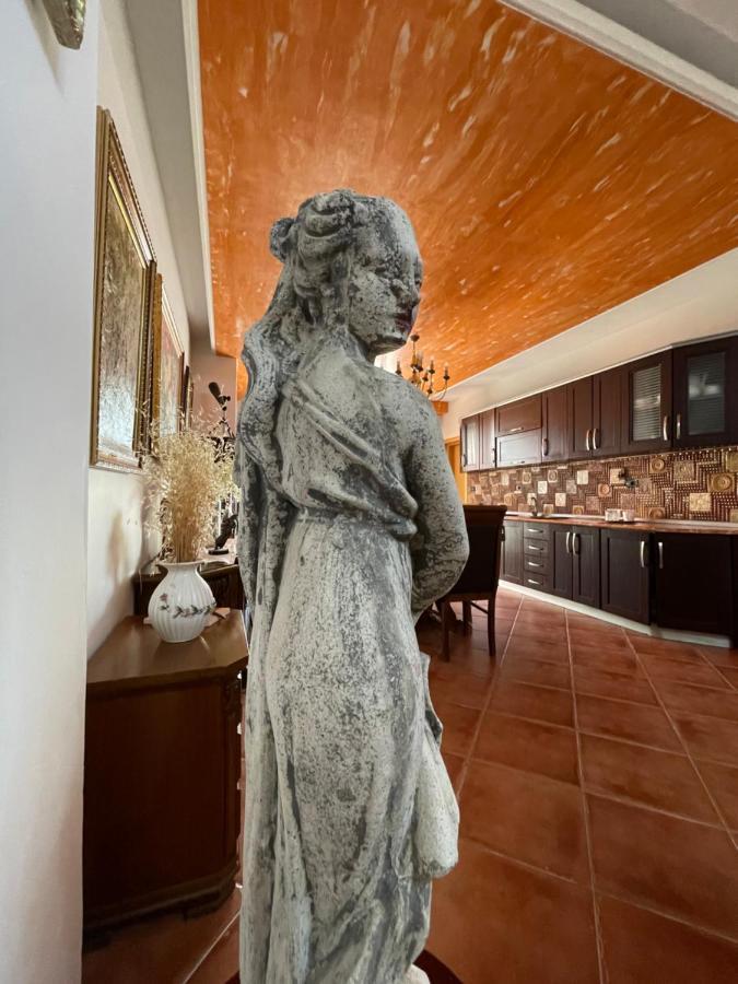 Venus - Cozy Apt With Terrace Vlorë Eksteriør bilde